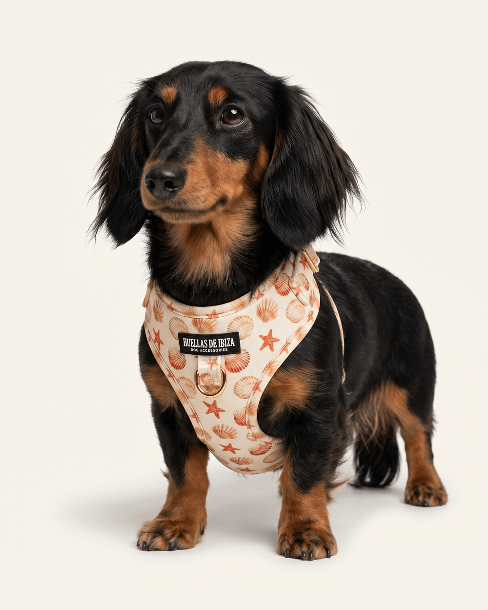 Arnés ajustable para perros "Arena y Sal"