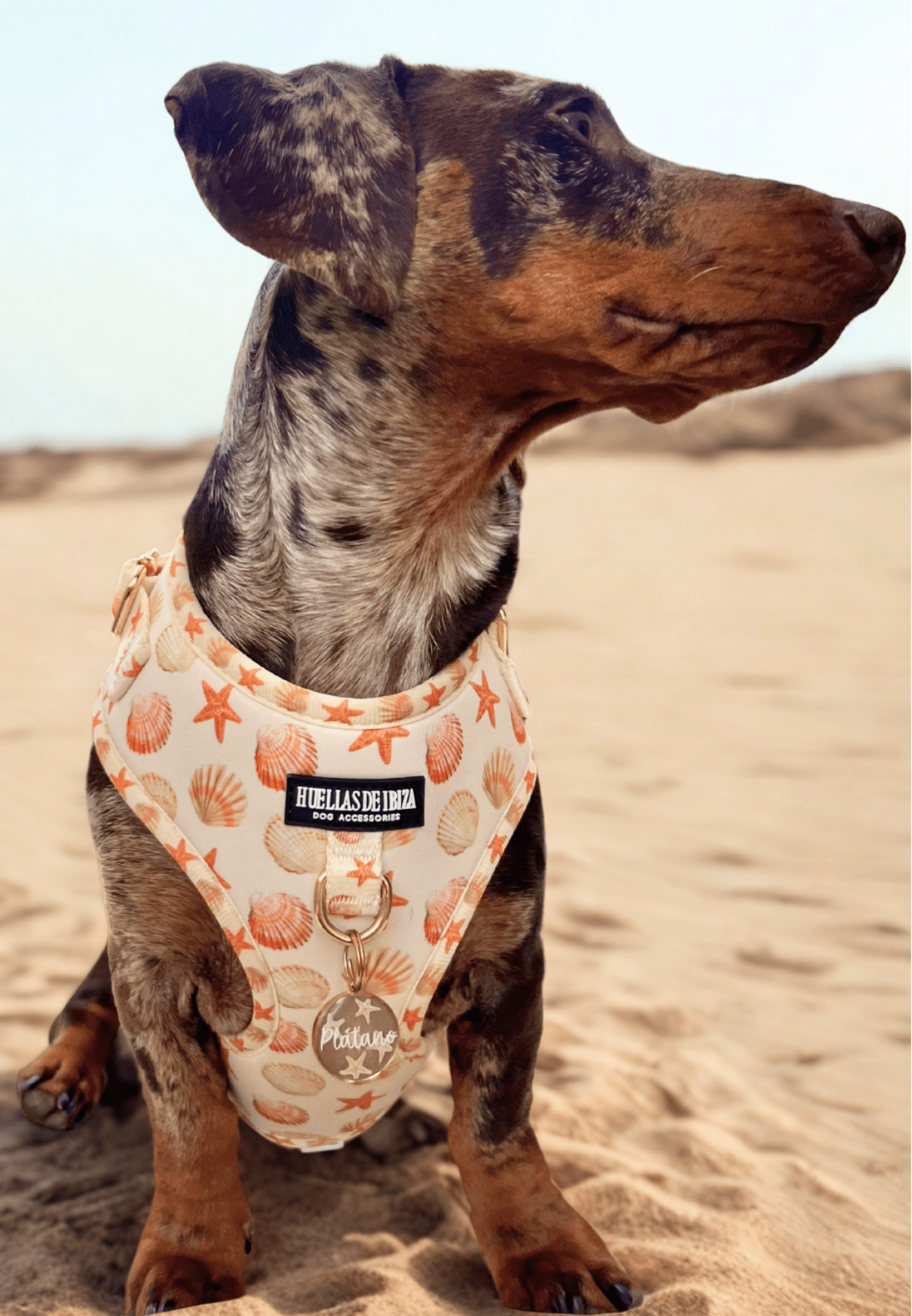 Joya identificativa hecha a mano edición exclusiva "Arena y Sal" - Huellas de Ibiza