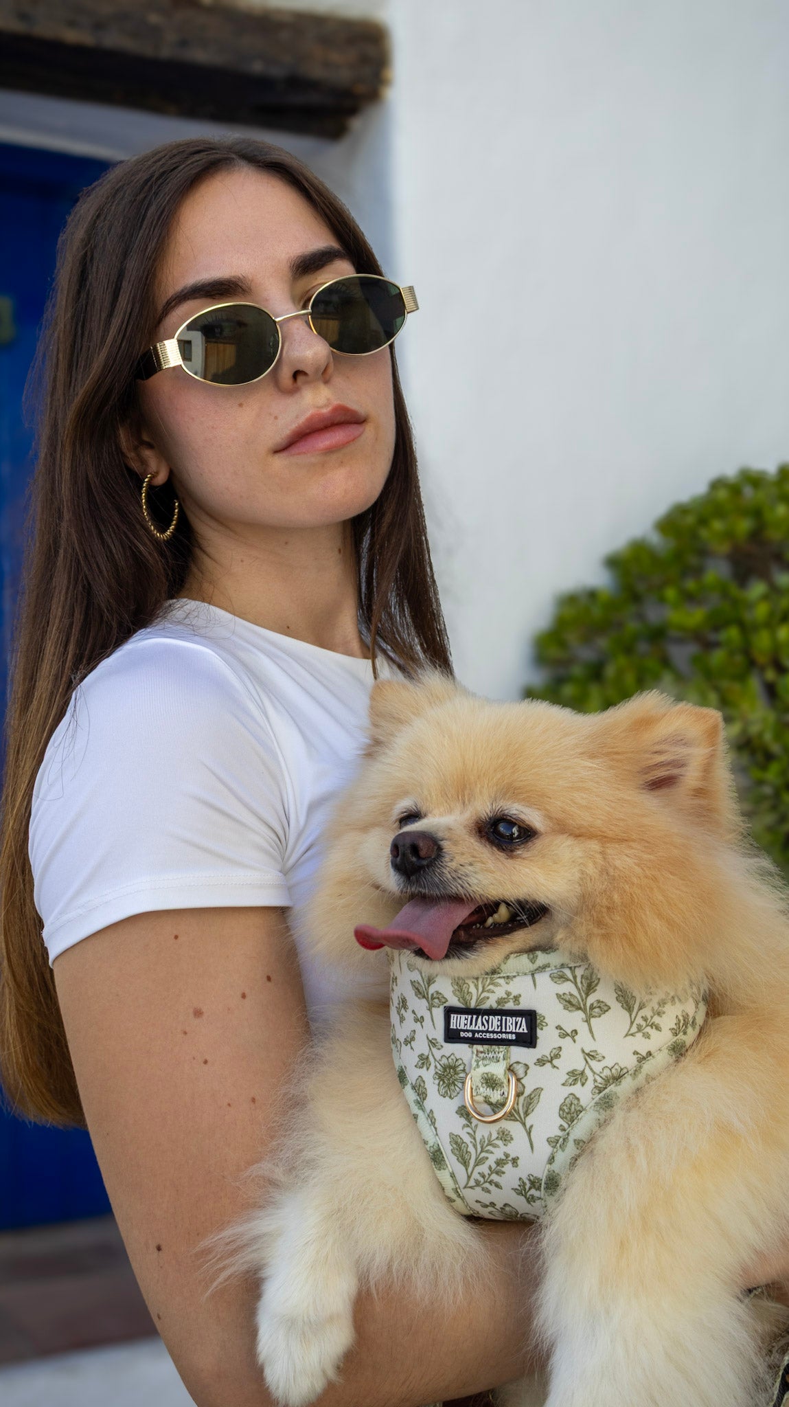 Pack Dogfluencer - Arnés ajustable "Boho Chic Ibiza" - Huellas de Ibiza