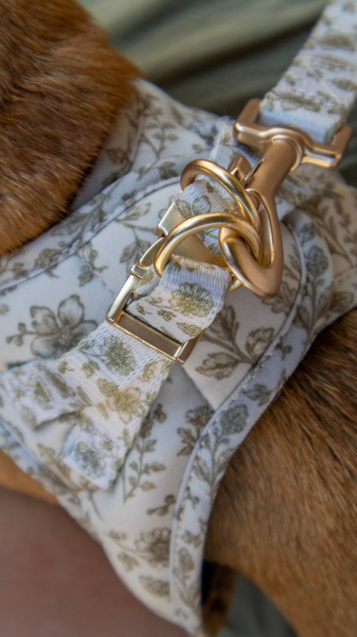 Pack Dogmodel - Arnés Body "Boho Chic Ibiza" - Huellas de Ibiza