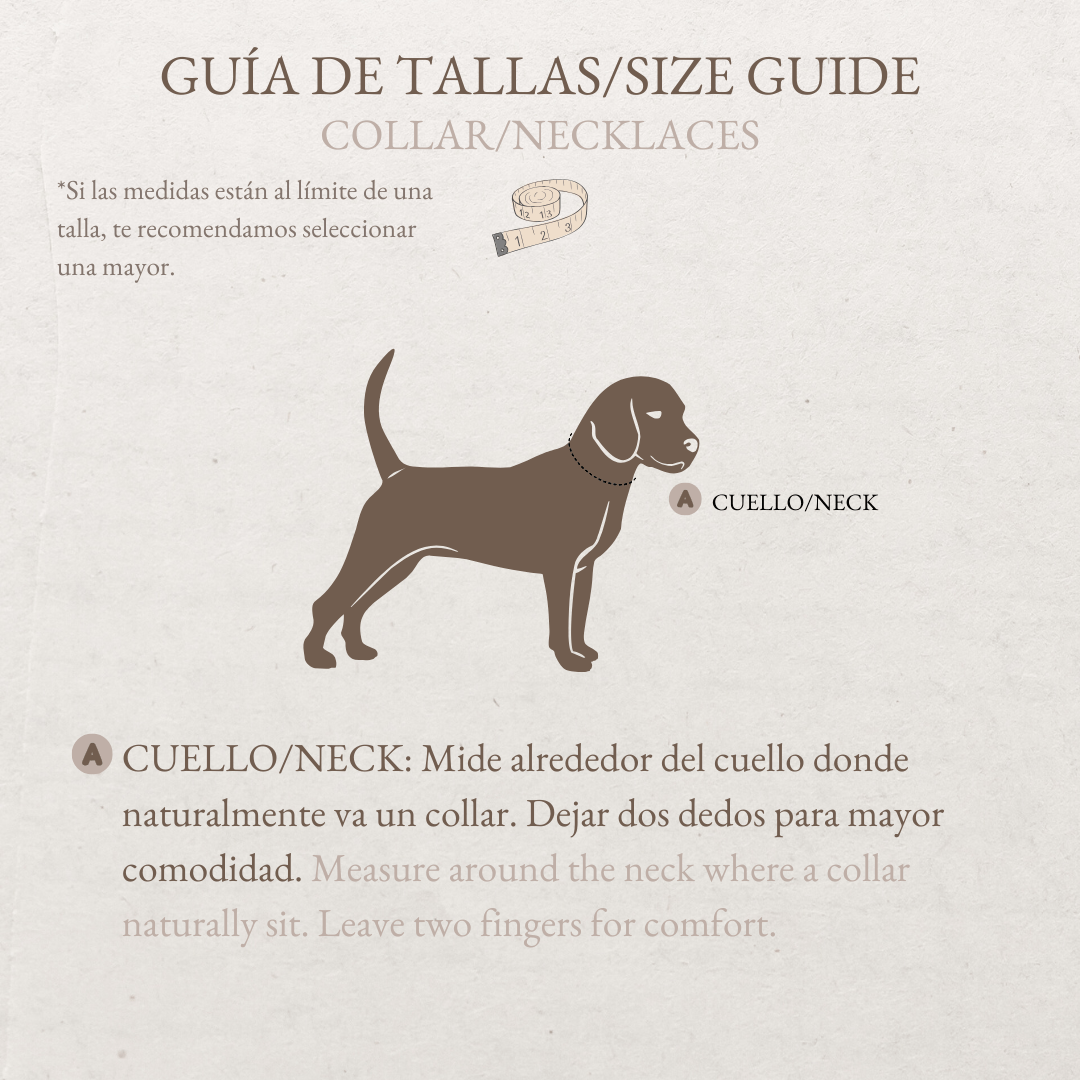 Pack Glamour "Buganvillas de Ibiza" - Huellas de Ibiza