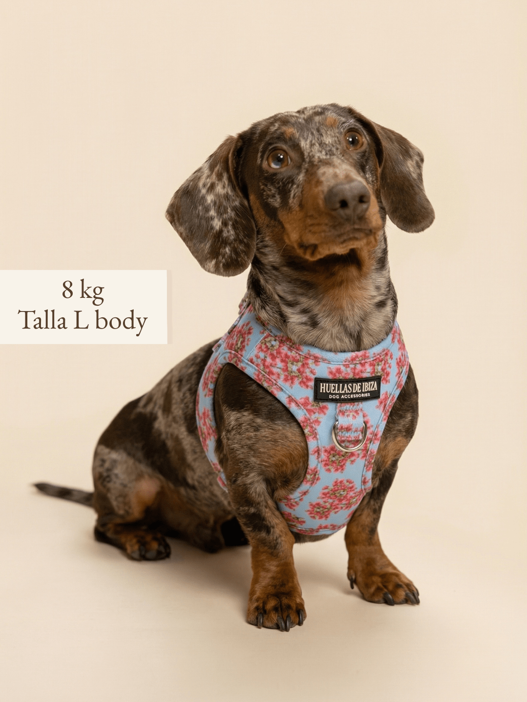 Set de paseo "Buganvillas de Ibiza" - Arnés body premium - Huellas de Ibiza