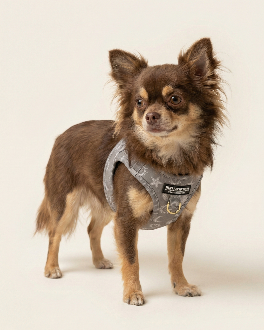 Arnés body para perros "Day&Night Ibiza"