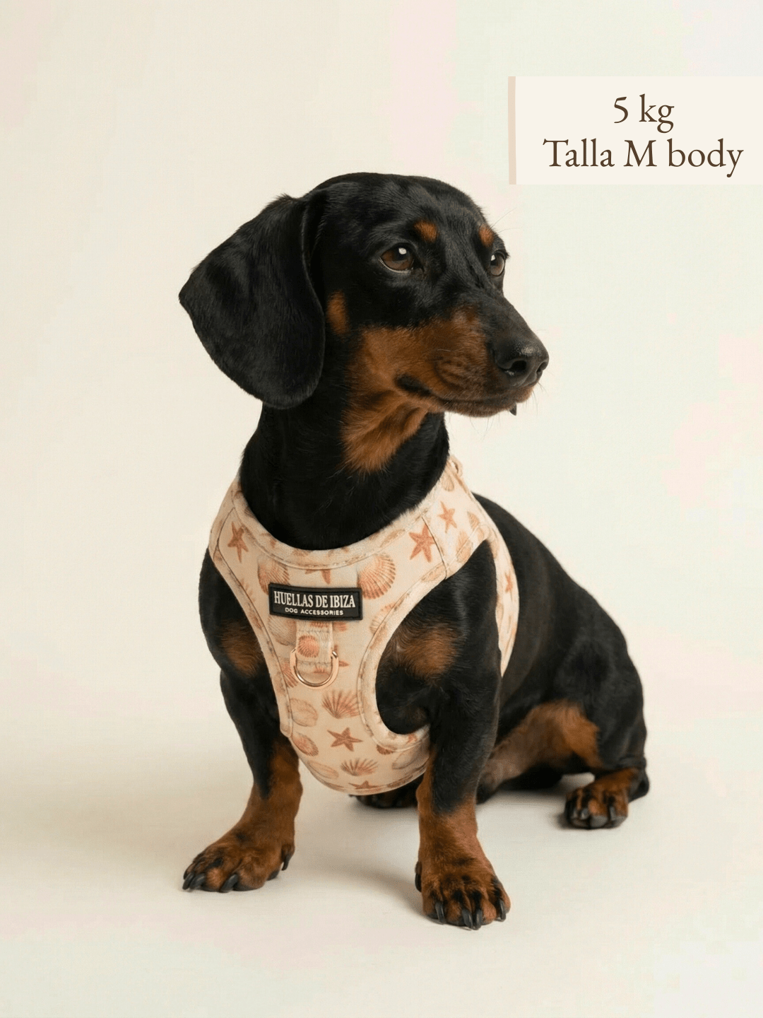 Set de paseo total look "Arena y Sal" - Arnés body premium - Huellas de Ibiza