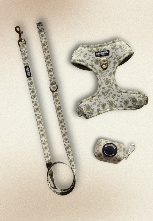 Pack Dogmodel - Arnés Ajustable "Boho Chic Ibiza" (Preventa)