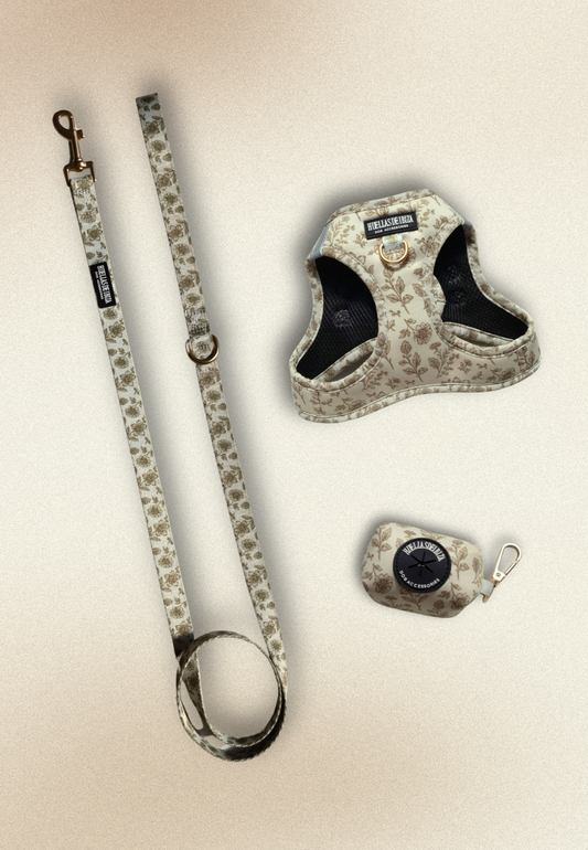 Pack Dogmodel - Arnés Body "Boho Chic Ibiza"
