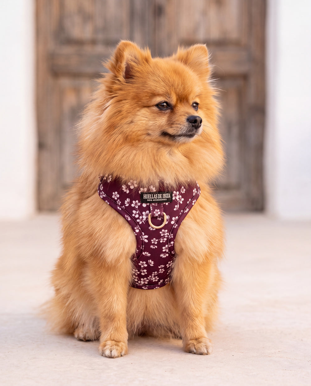 Pettorina regolabile per cani "Almendros de Ibiza"