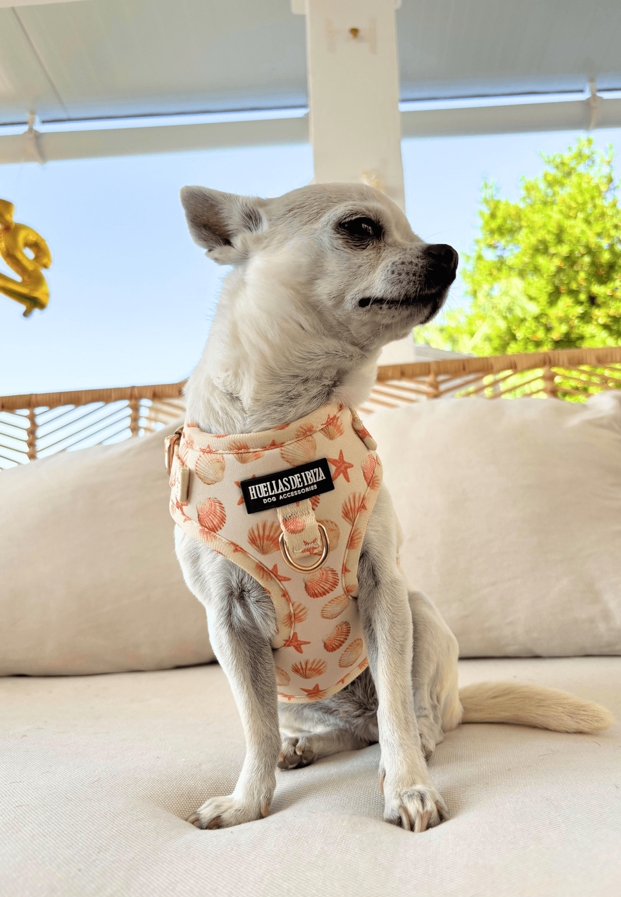 Arnés ajustable para perros "Arena y Sal" - Huellas de Ibiza