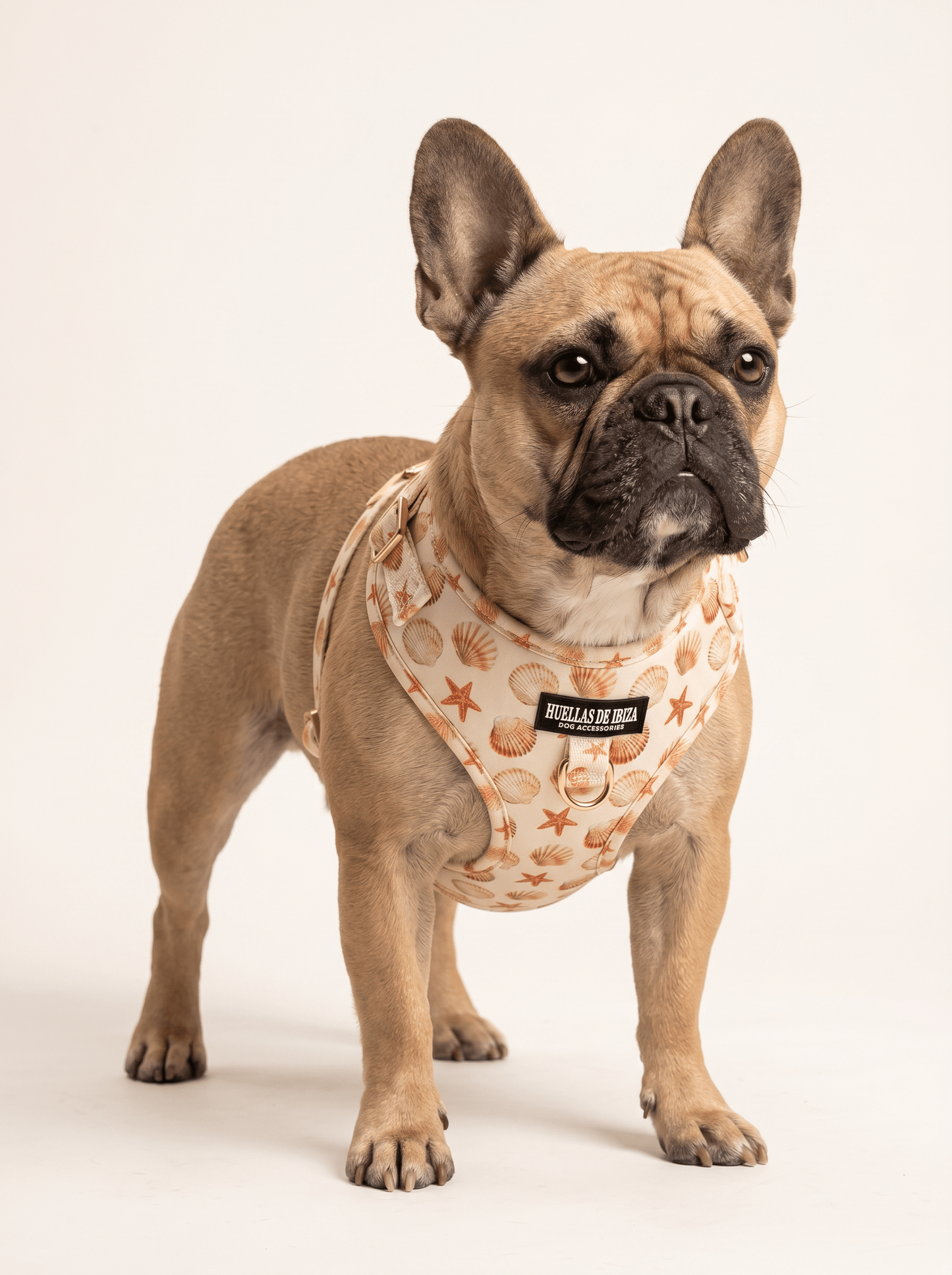 Arnés ajustable Premium para perros "Arena y Sal" - Huellas de Ibiza