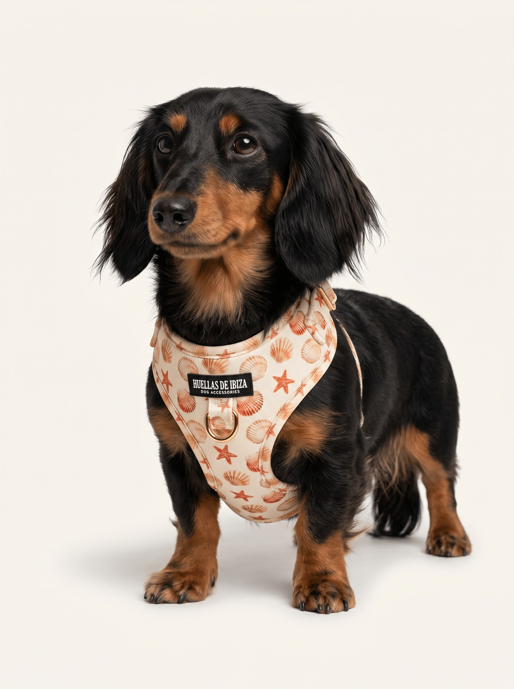 Arnés ajustable Premium para perros "Arena y Sal" - Huellas de Ibiza