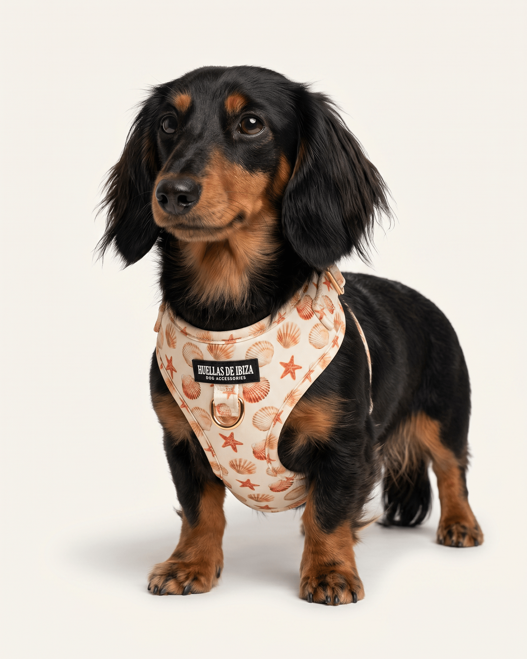 Arnés ajustable Premium para perros "Arena y Sal" - Huellas de Ibiza
