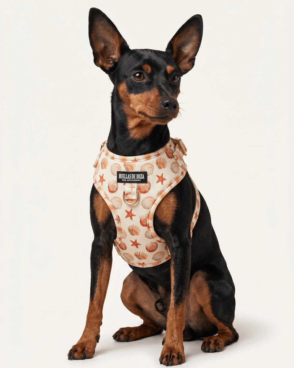 Arnés ajustable Premium para perros "Arena y Sal" - Huellas de Ibiza