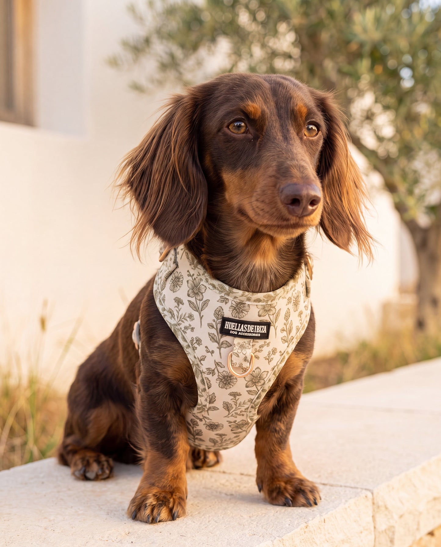 Arnés ajustable Premium para perros "Boho Chic Ibiza" - Huellas de Ibiza