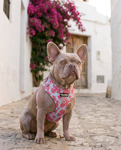 Arnés ajustable Premium para perros "Buganvillas de Ibiza" - Huellas de Ibiza