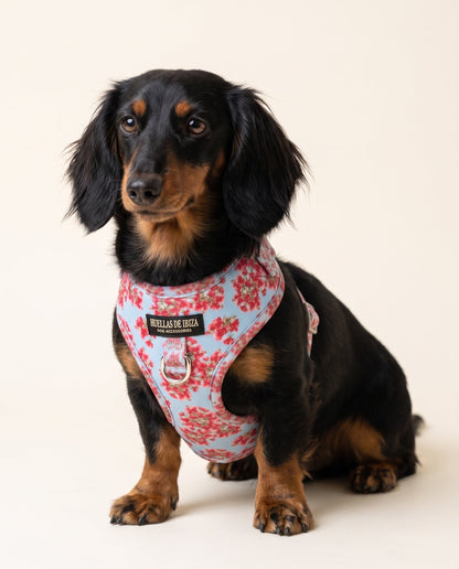 Arnés ajustable Premium para perros "Buganvillas de Ibiza" - Huellas de Ibiza