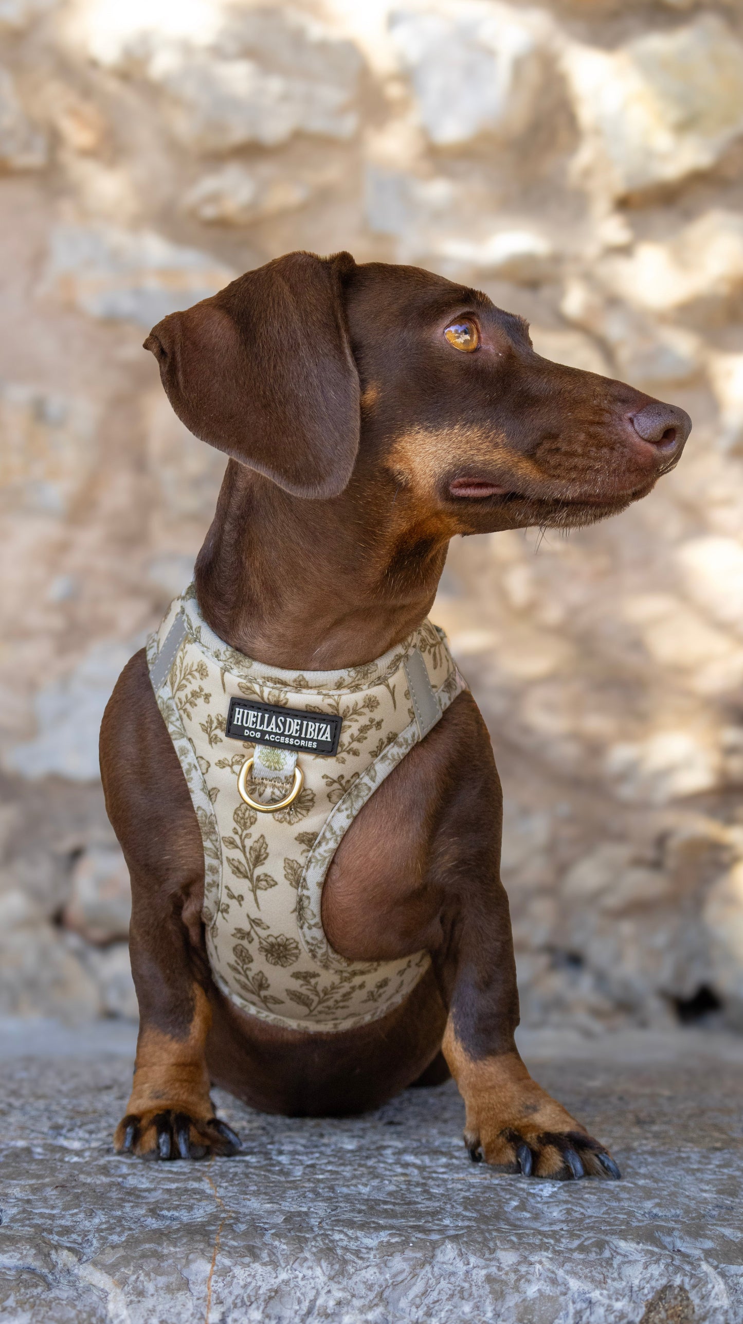 Arnés Body para perros "Boho Chic Ibiza" - Huellas de Ibiza