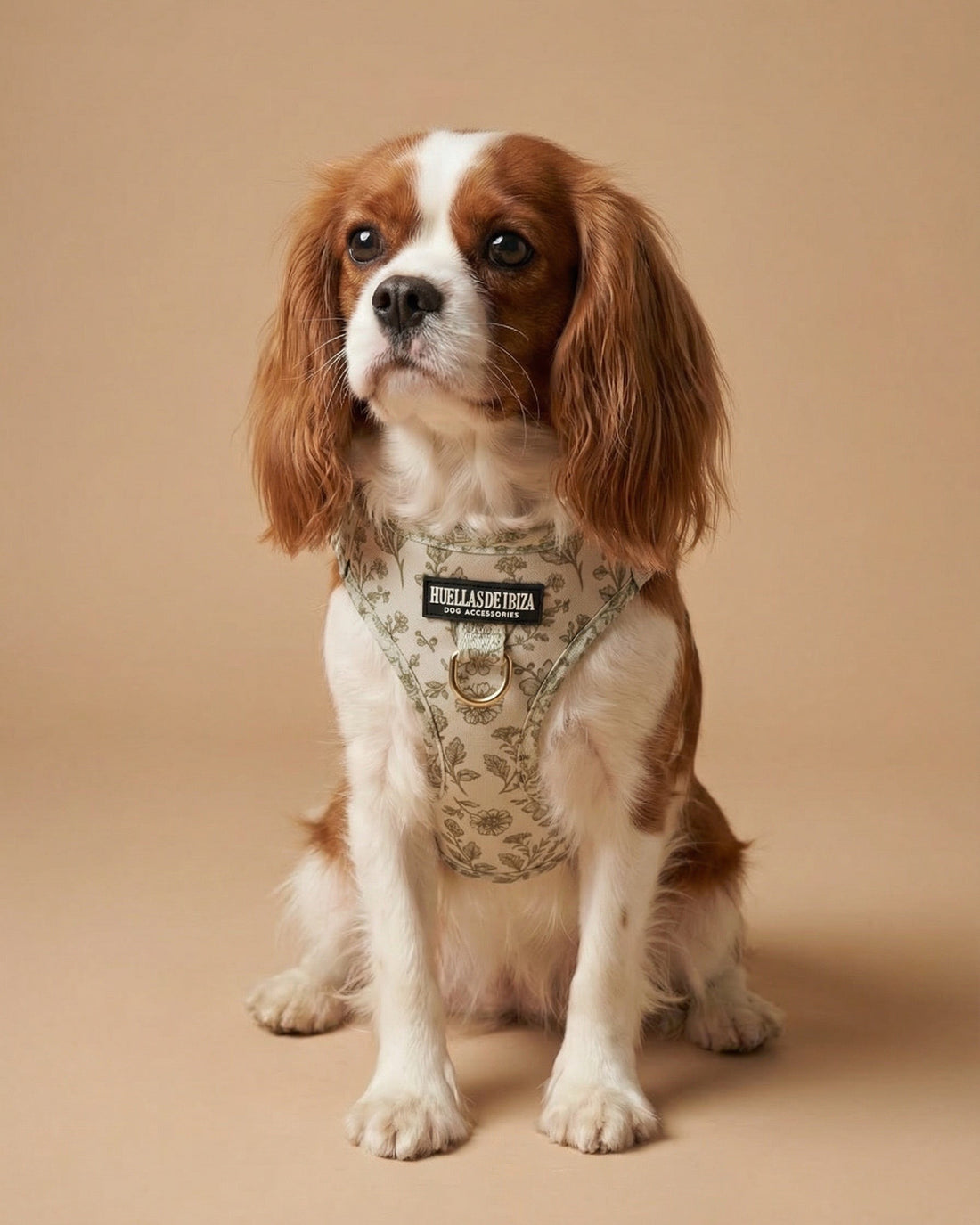 Arnés body para perros "Boho Chic Ibiza"