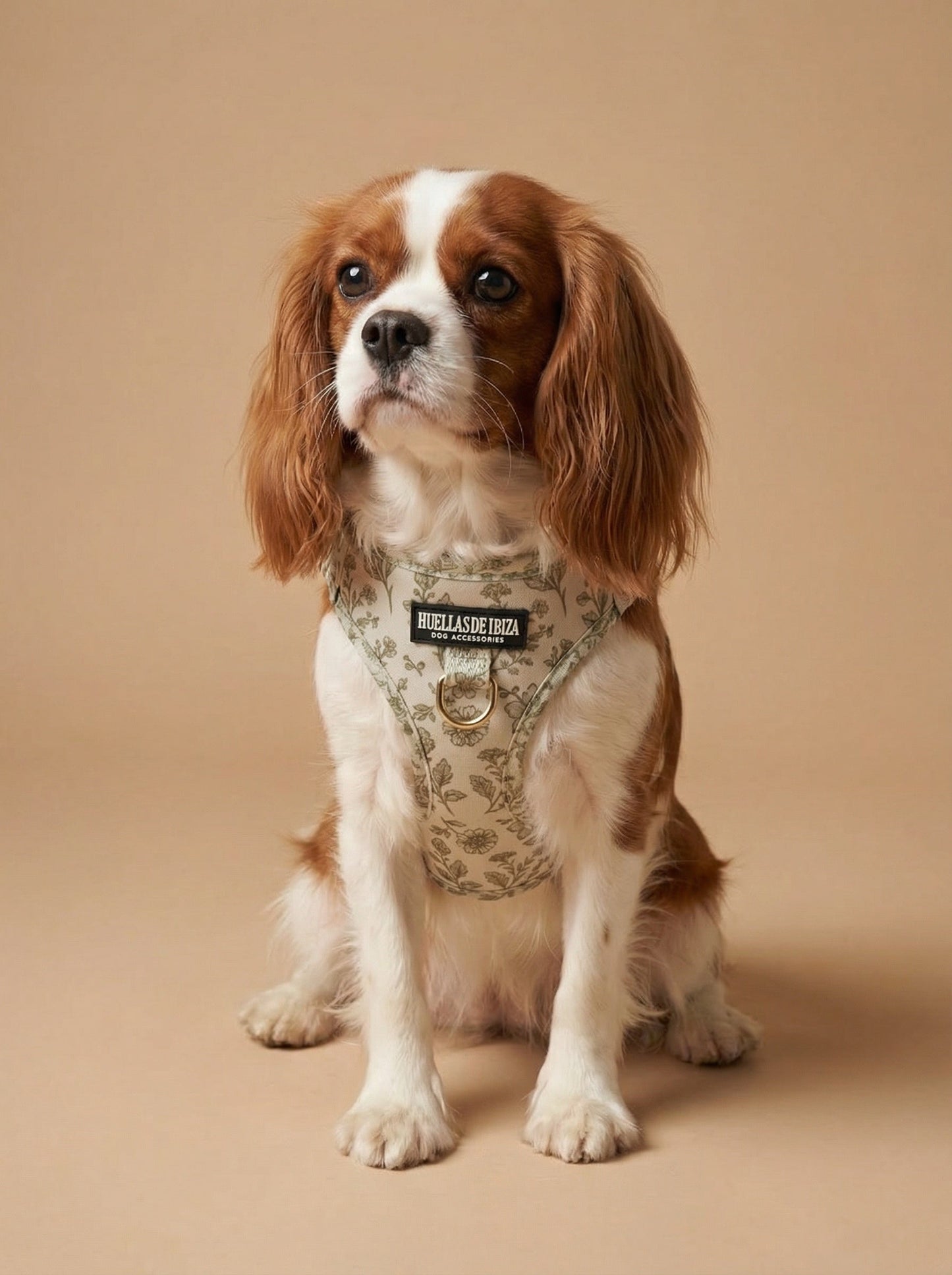 Arnés body Premium para perros "Boho Chic Ibiza" - Huellas de Ibiza