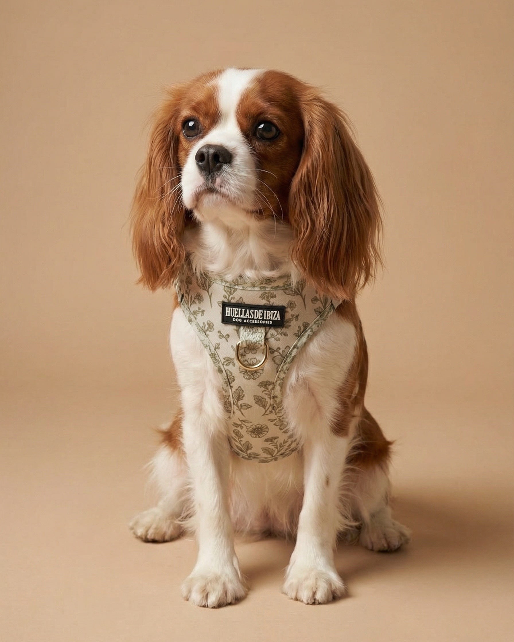 Arnés body Premium para perros "Boho Chic Ibiza" - Huellas de Ibiza