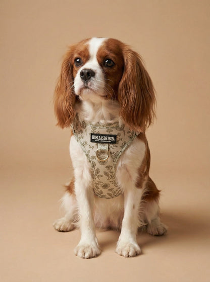 Arnés body Premium para perros "Boho Chic Ibiza" - Huellas de Ibiza