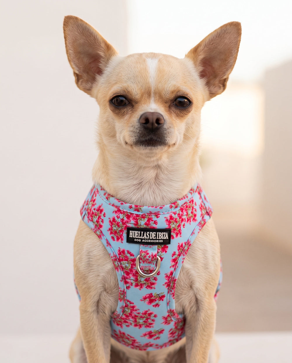 Arnés body para perros "Buganvillas de Ibiza"