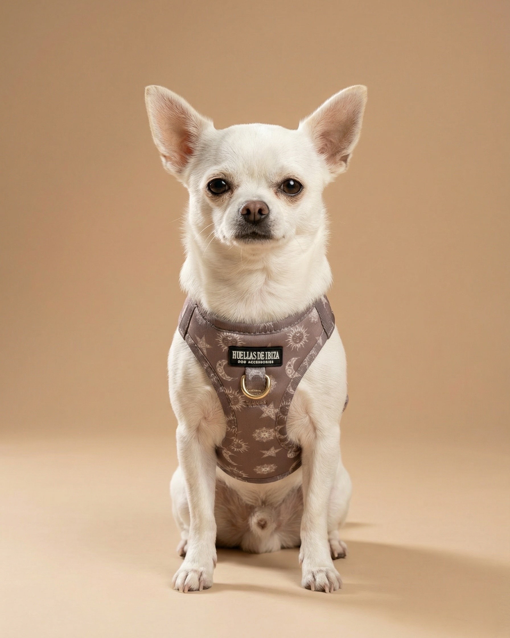 Arnés body Premium para perros "Day & Night Ibiza" - Huellas de Ibiza