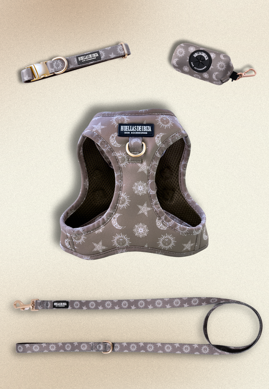 Pack Dogfluencer - Arnés body Premium "Day&Night Ibiza"
