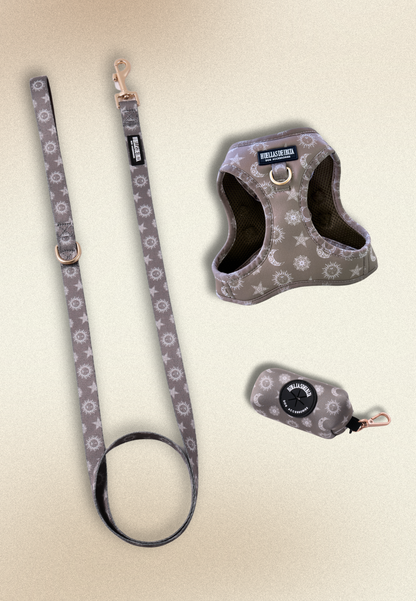 Pack Dogmodel - Arnés body Premium "Day&Night Ibiza"