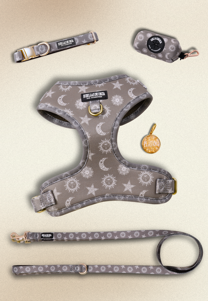 Pack Dogfluencer - Arnés ajustable Premium "Day&Night Ibiza" + Joya Identificativa