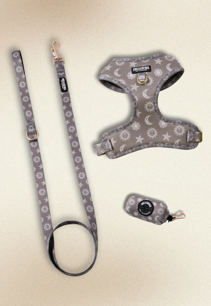 Pack Dogmodel - Arnés ajustable Premium "Day&Night Ibiza"