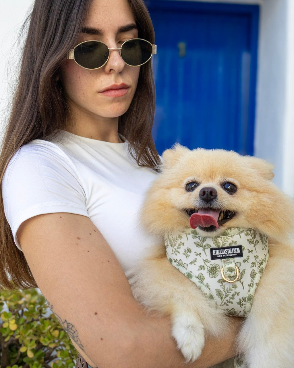 Pack Dogfluencer - Arnés ajustable "Boho Chic Ibiza" - Huellas de Ibiza