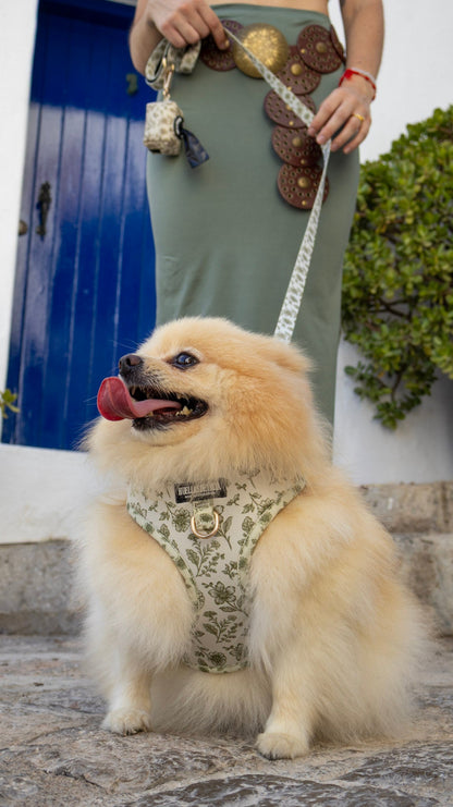 Pack Dogfluencer - Arnés ajustable "Boho Chic Ibiza" - Huellas de Ibiza