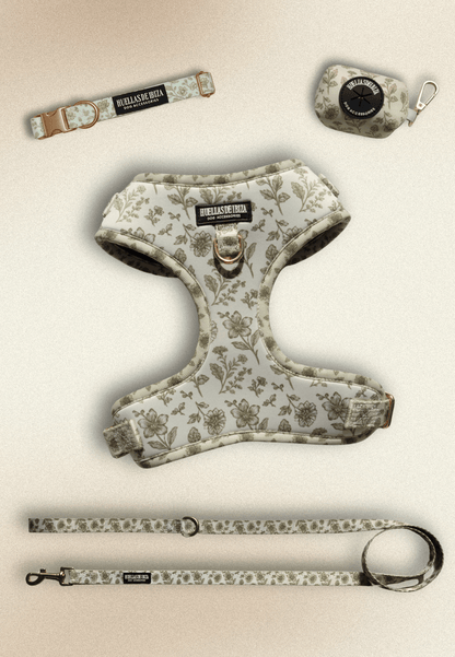 Pack Dogfluencer - Arnés ajustable "Boho Chic Ibiza" - Huellas de Ibiza