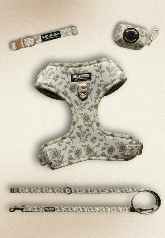 Pack Dogfluencer - Arnés ajustable "Boho Chic Ibiza" - Huellas de Ibiza