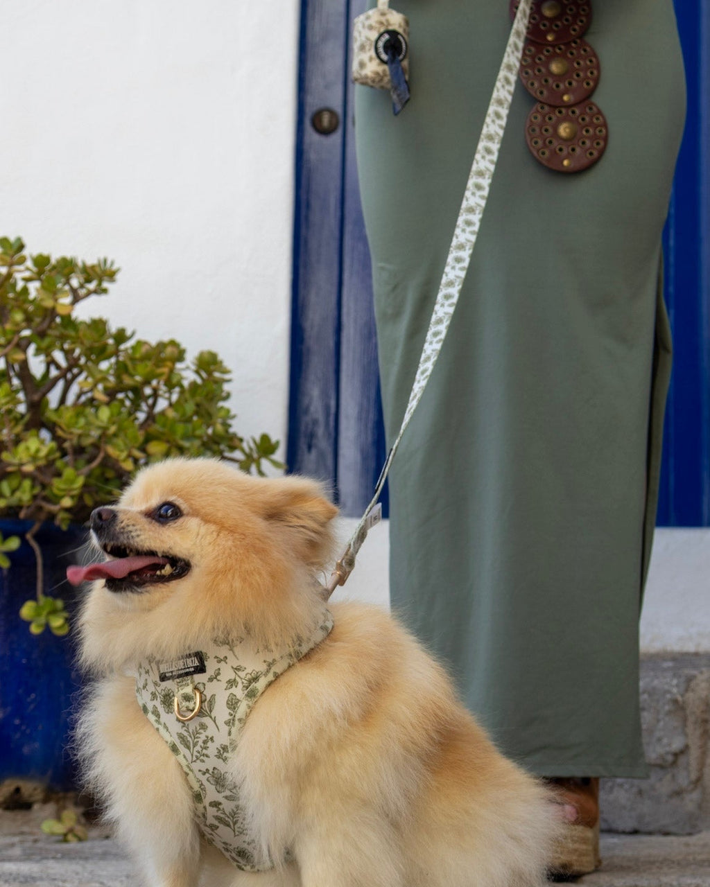 Pack Dogfluencer - Arnés ajustable "Boho Chic Ibiza" - Huellas de Ibiza