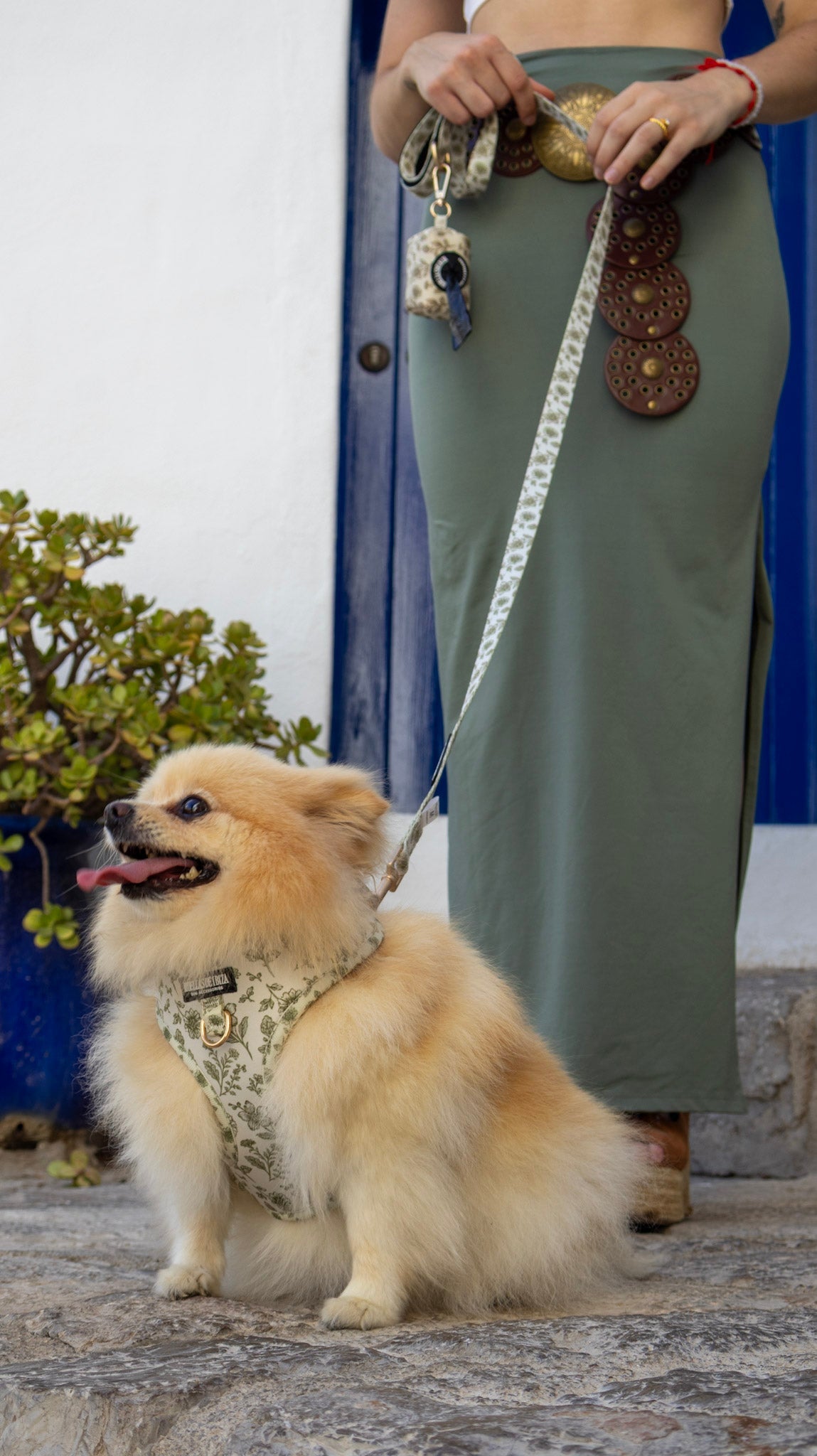 Pack Dogfluencer - Arnés ajustable "Boho Chic Ibiza" - Huellas de Ibiza