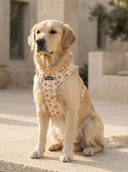 Pack Dogfluencer - Arnés ajustable control Premium "Arena y Sal" - Huellas de Ibiza