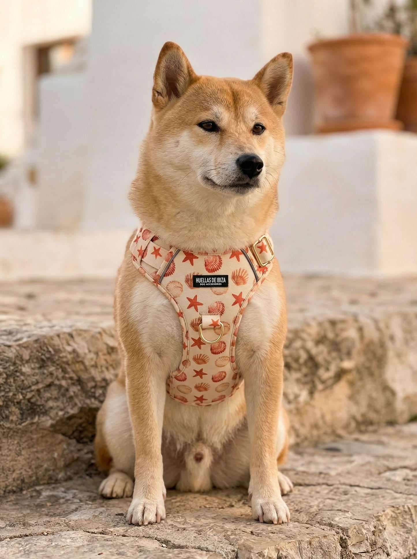 Pack Dogfluencer - Arnés ajustable control Premium "Arena y Sal" - Huellas de Ibiza