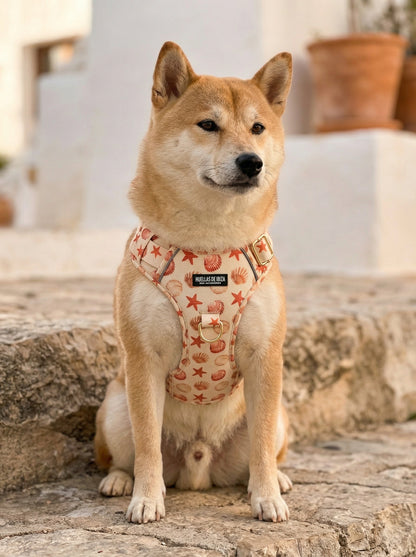 Pack Dogfluencer - Arnés ajustable control Premium "Arena y Sal" - Huellas de Ibiza