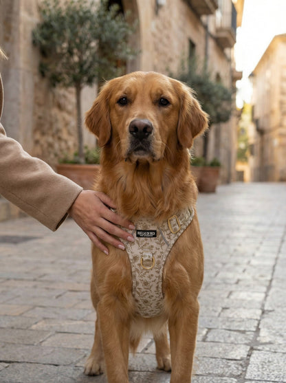 Pack Dogfluencer - Arnés ajustable control Premium "Boho Chic Ibiza" - Huellas de Ibiza