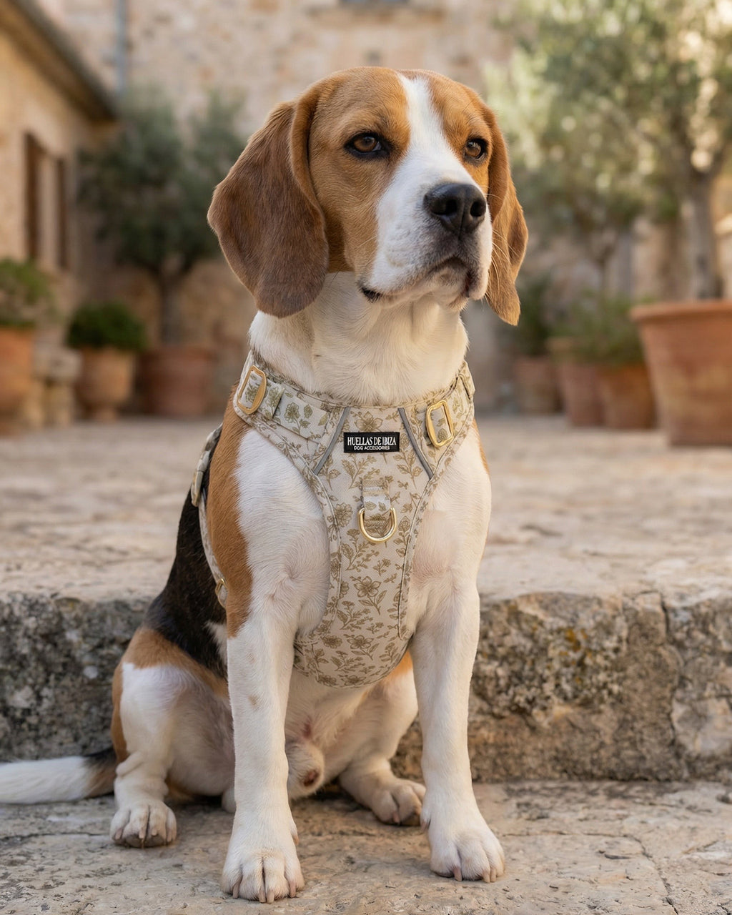 Pack Dogfluencer - Arnés ajustable control Premium "Boho Chic Ibiza" - Huellas de Ibiza