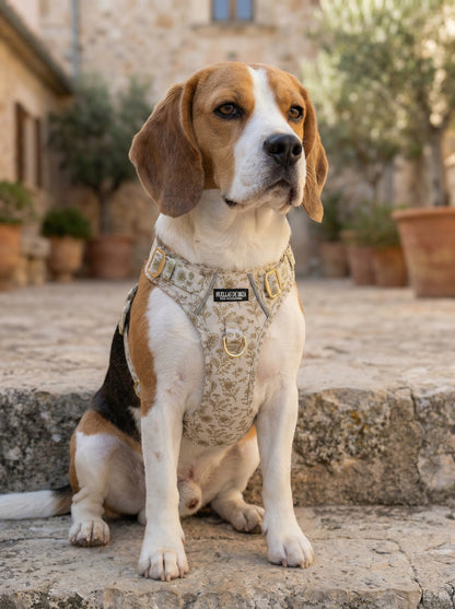 Pack Dogfluencer - Arnés ajustable control Premium "Boho Chic Ibiza" - Huellas de Ibiza