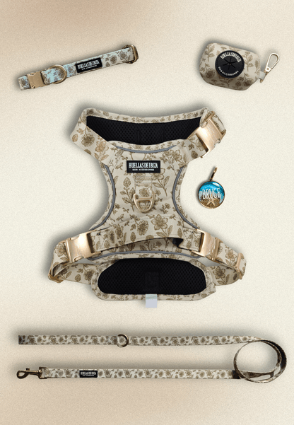 Pack Dogfluencer - Arnés ajustable control Premium "Boho Chic Ibiza" + Joya Identificativa - Huellas de Ibiza