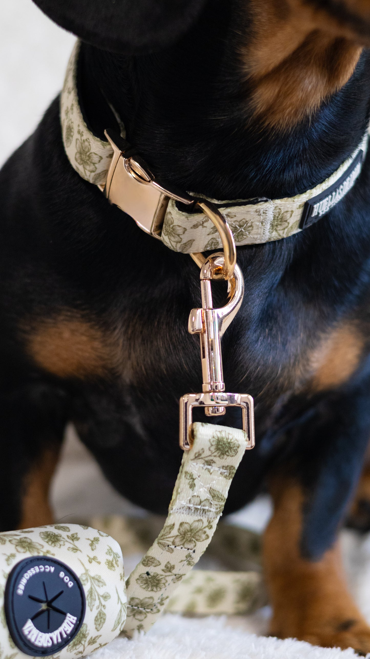 Pack Dogfluencer - Arnés ajustable control Premium "Boho Chic Ibiza" + Joya Identificativa - Huellas de Ibiza