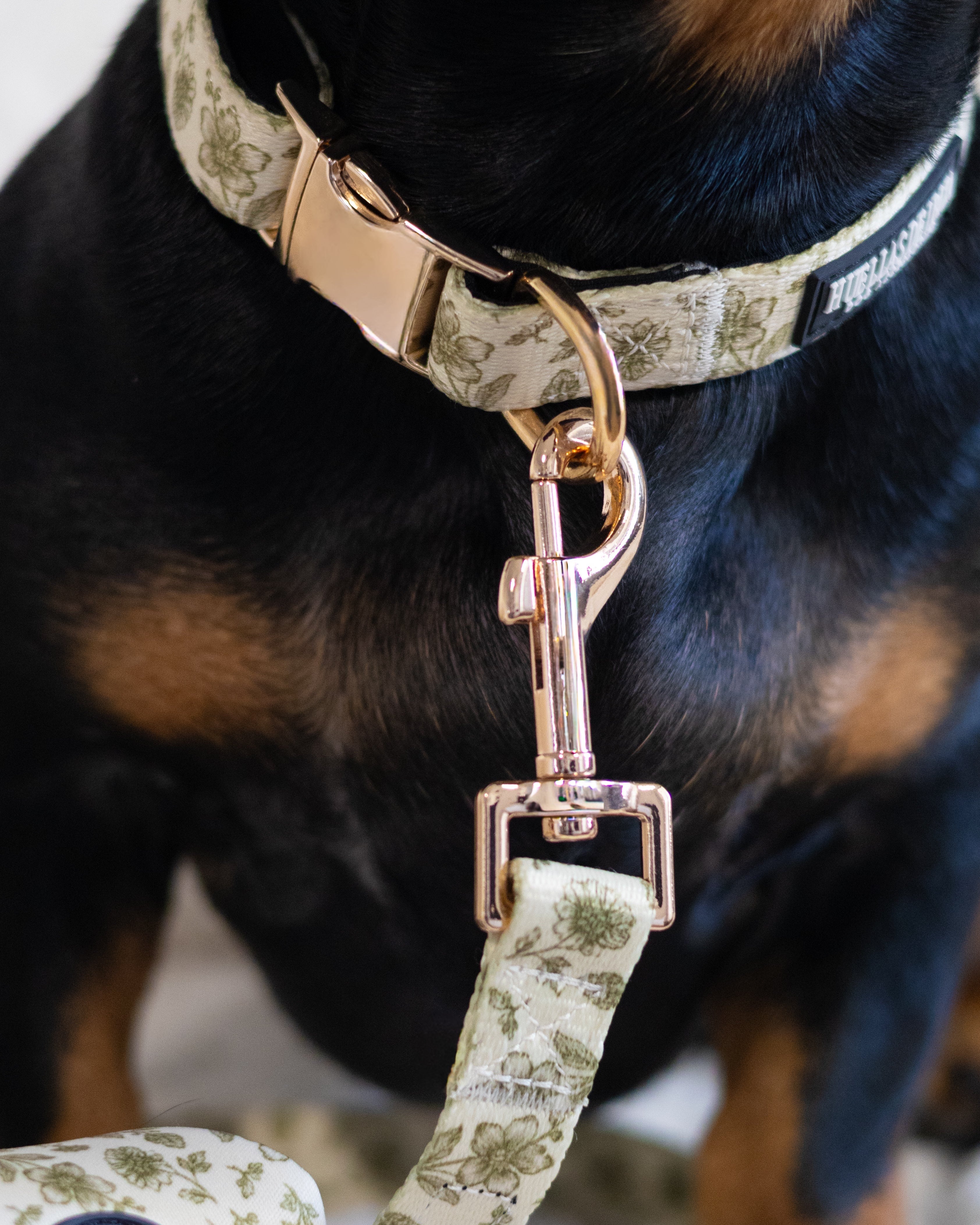 Pack Dogfluencer - Arnés ajustable control Premium "Boho Chic Ibiza" + Joya Identificativa - Huellas de Ibiza
