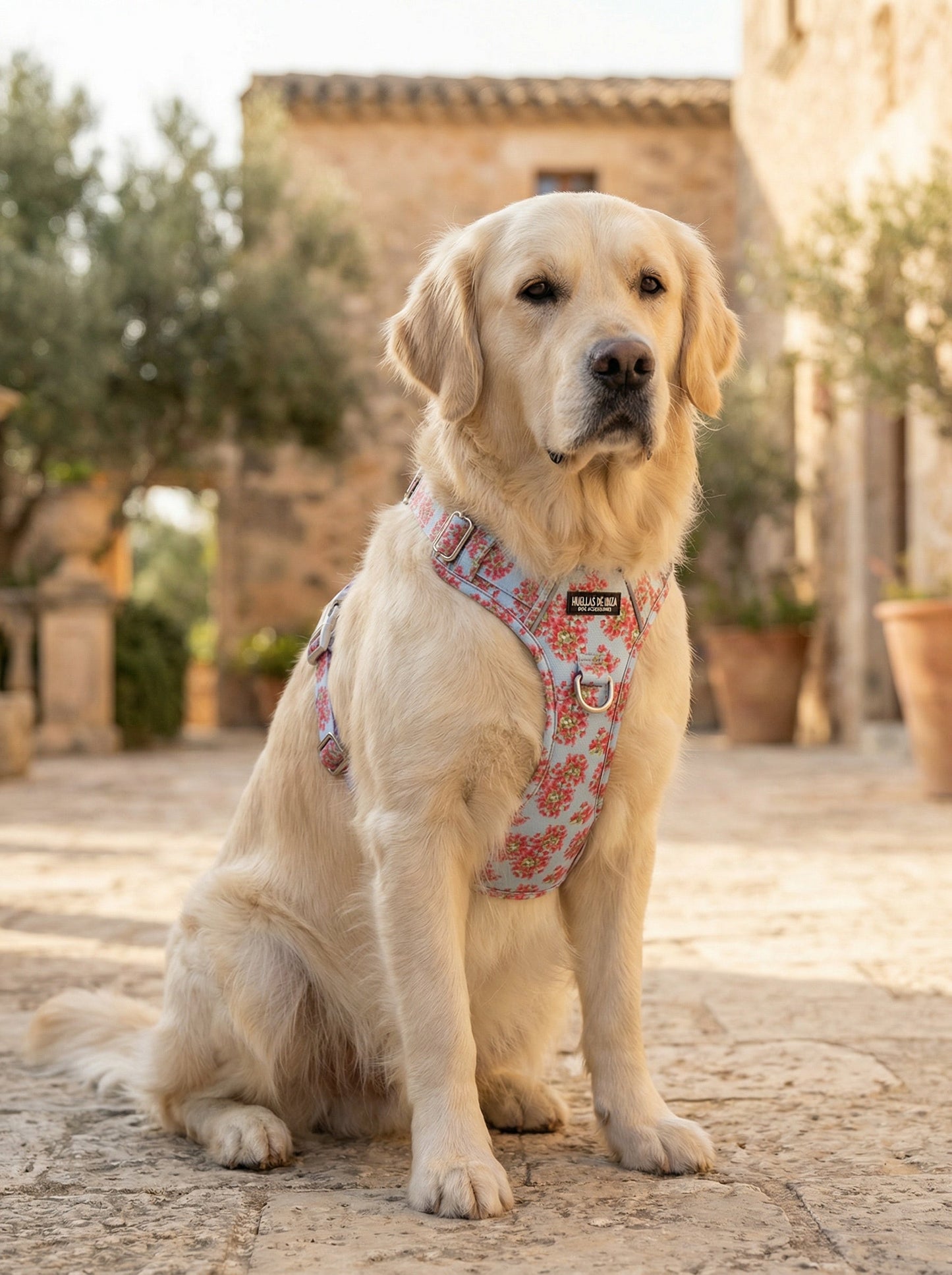 Pack Dogfluencer - Arnés ajustable control Premium "Buganvillas de Ibiza" - Huellas de Ibiza