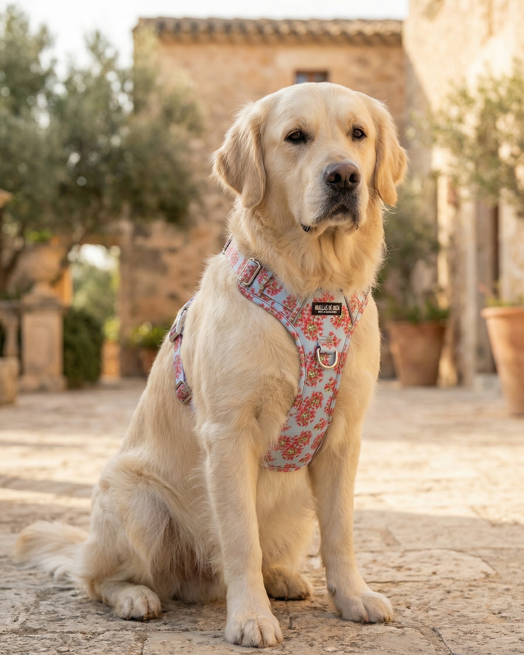 Pack Dogfluencer - Arnés ajustable control Premium "Buganvillas de Ibiza" - Huellas de Ibiza