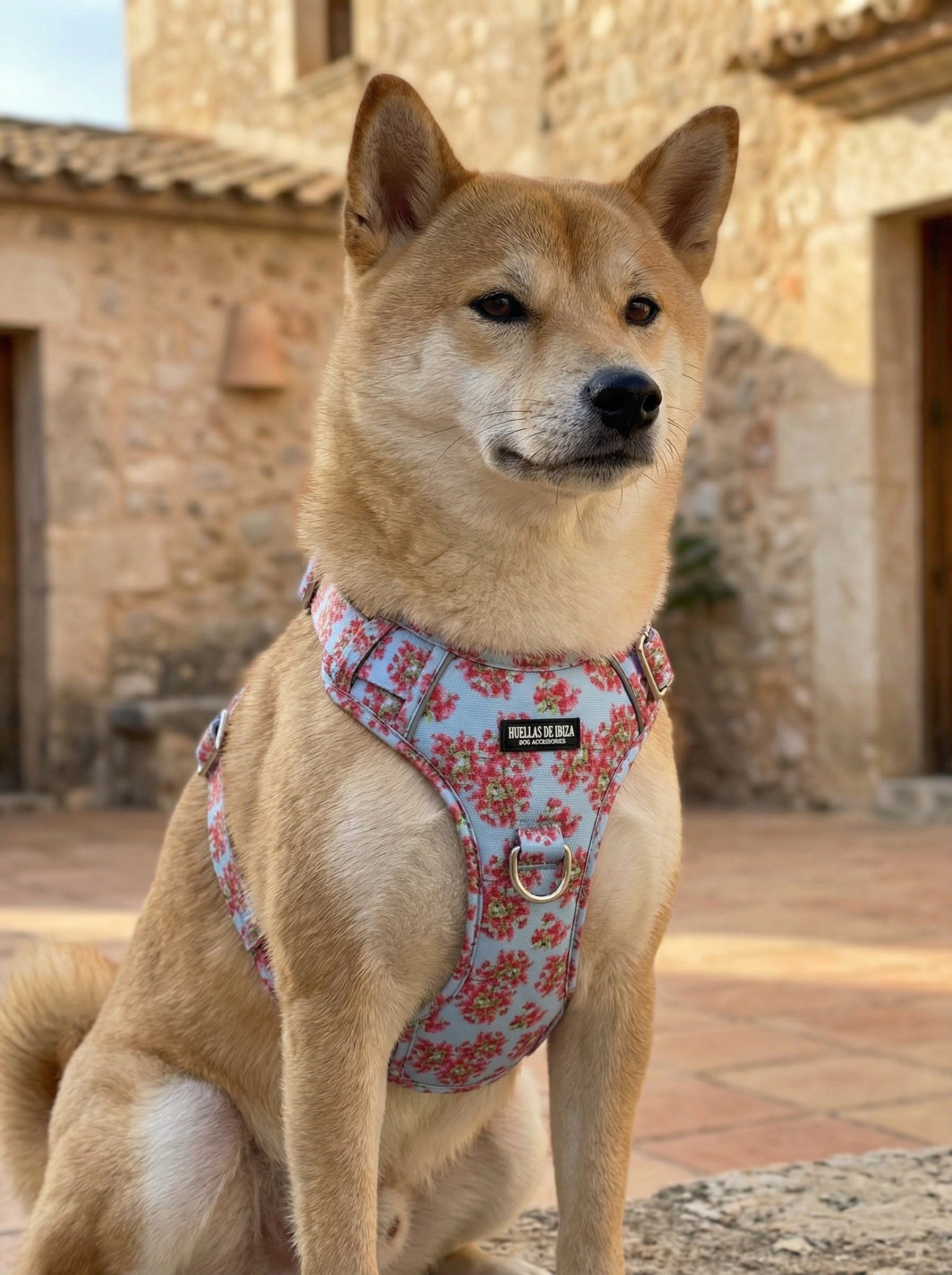 Pack Dogfluencer - Arnés ajustable control Premium "Buganvillas de Ibiza" - Huellas de Ibiza