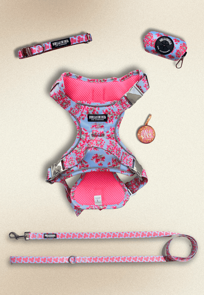 Pack Dogfluencer - Arnés ajustable control Premium "Buganvillas de Ibiza" + Joya Identificativa - Huellas de Ibiza