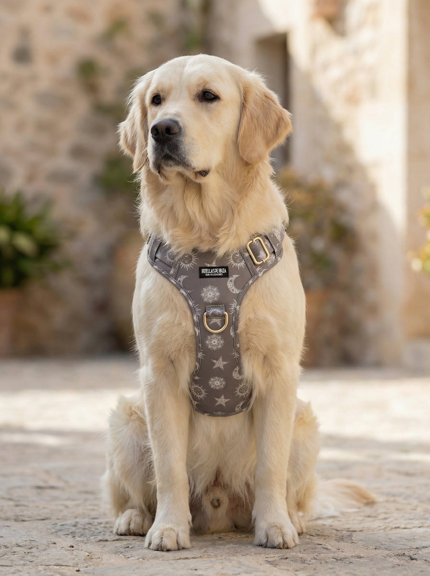 Pack Dogfluencer - Arnés ajustable control Premium "Day&Night Ibiza" - Huellas de Ibiza